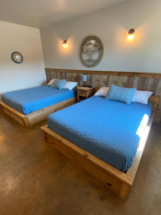 The Woods Lodging Kingston Pokoj fotografie
